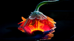 ws-2026-03-18-1182-Bearbeitet