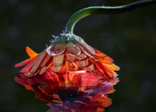 ws-2026-03-18-1189-Bearbeitet