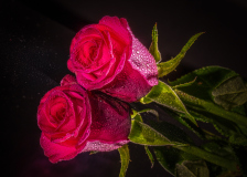 ws-2026-03-18-1191-Bearbeitet