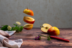 2606-Flying-Food-5 2606-Flying-Food-5