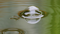 004_ATolleBlotere_AloisRaedler 004_ATolleBlotere_AloisRaedler
