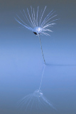 031_ImNetzDesLichts_MarioStecher 031_ImNetzDesLichts_MarioStecher