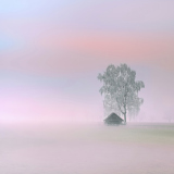032_imWinternebel_pem