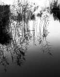 056_ReflectionAmSchwarzsee_HannesRehm 056_ReflectionAmSchwarzsee_HannesRehm