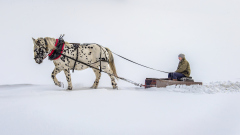 063_Schneepflug_BertramWaldner 063_Schneepflug_BertramWaldner