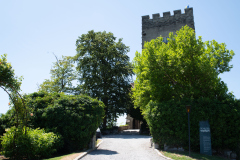 064_2026-07-04_Kumm_ins_Schloss_Karin_Mueller_Voegel@FT-Digital_2026