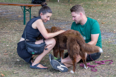 00843_Hundeshooting-HSV-Dornbirn_02.-August-2026_©-Mario-Stecher@FT-Digital-2026