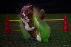 117_2026-08-02_Holi_Hundeshooting_HSV_Dornbirn_RolandGeuze@FT-Digital_2026