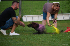 154_2026-08-02_Holi_Hundeshooting_HSV_Dornbirn_RolandGeuze@FT-Digital_2026