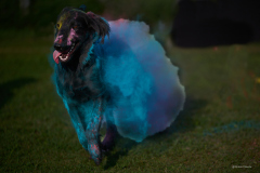 190_2026-08-02_Holi_Hundeshooting_HSV_Dornbirn_RolandGeuze@FT-Digital_2026