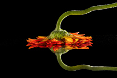 0009_Crosslighting_Franz-Errath_2026-01-08 0009_Crosslighting_Franz-Errath_2026-01-08