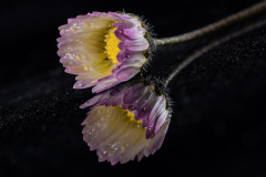 ChatGPT-Image-21.-Maerz-2026-14_35_58