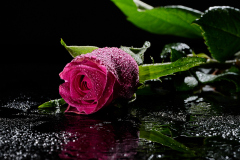 DSC_4958-Kreativ-im-Heimstudio DSC_4958-Kreativ-im-Heimstudio