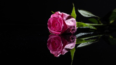 IMG_6613_RAW IMG_6613_RAW