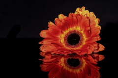 ws-2026-03-18-1172-Bearbeitet ws-2026-03-18-1172-Bearbeitet