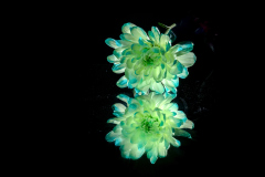 ws-2026-03-18-1192 ws-2026-03-18-1192