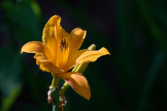 026_2026-07-18_Macro_WS_bei_AloisR_RolandGeuze@FT-Digital_2026