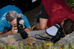 041_2026-07-18_Macro_WS_bei_AloisR_RolandGeuze@FT-Digital_2026