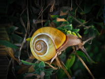 06-Macro_GerhardSch_2026