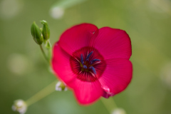 Makro_Juergen_2-2