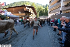 Almabtrieb_13.09-19 Almabtrieb_13.09-19