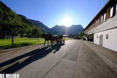 Almabtrieb_13.09-238 Almabtrieb_13.09-238