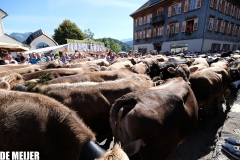 Almabtrieb_13.09-66 Almabtrieb_13.09-66