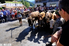 Almabtrieb_13.09-71