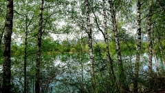 AlterRhein-WalterDeMeijer-4
