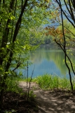 Rheinauen Rheinauen
