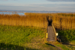 VormSteg_A.Hutter_2024