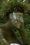 DSC0842-1