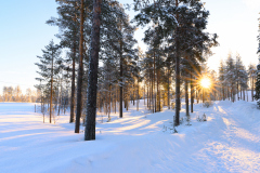 Maldoner-Annemarie-Finnland.