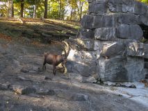 0497_Ardetzenberg_Fotoausflug_24.10.2020@Fototeam-Digital-2020