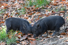 DSC_3034 DSC_3034