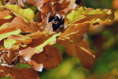 DSC_3088 DSC_3088