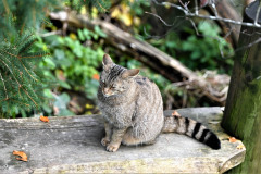 DSC_3160 DSC_3160