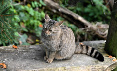 DSC_3161 DSC_3161