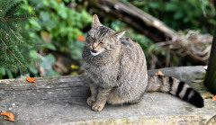 DSC_3162 DSC_3162