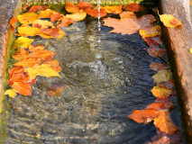 DSC_3197 DSC_3197