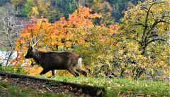 DSC_3215 DSC_3215
