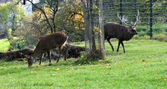 DSC_3224 DSC_3224