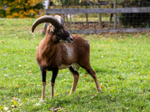 IMG_9918_LR IMG_9918_LR