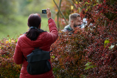 Wildpark_Feldk__RG04714_RolandG Wildpark_Feldk__RG04714_RolandG
