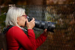 Wildpark_Feldk__RG04740_RolandG