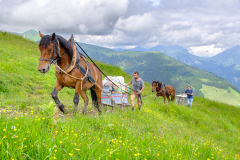 Aufzug_Bertram-Waldner_2020