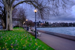 Bregenz_Molo