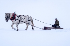 Schneepflug mit 1 PS