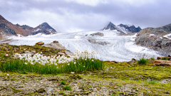 Silvrettagletscher-Bertram-Waldner-2019