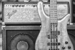 Sound-of-Bass_Bertram_W